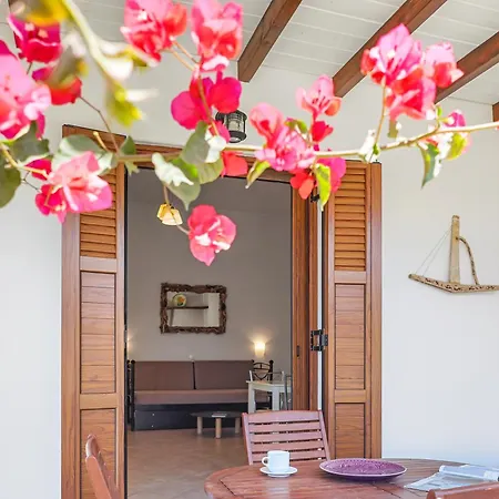Anemonisia Skyrian Living Apartment Skyros