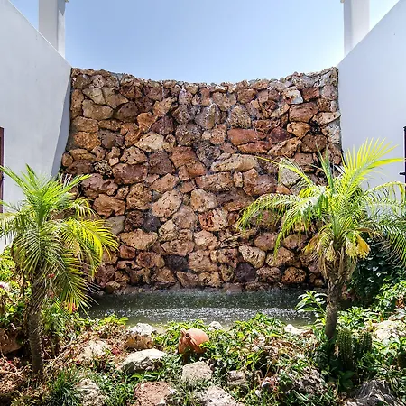 Anemonisia Skyrian Living *